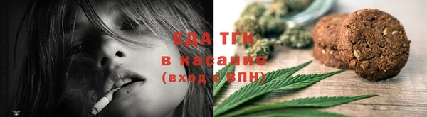 индика Богородицк