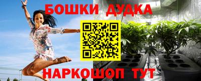 крисы Изобильный