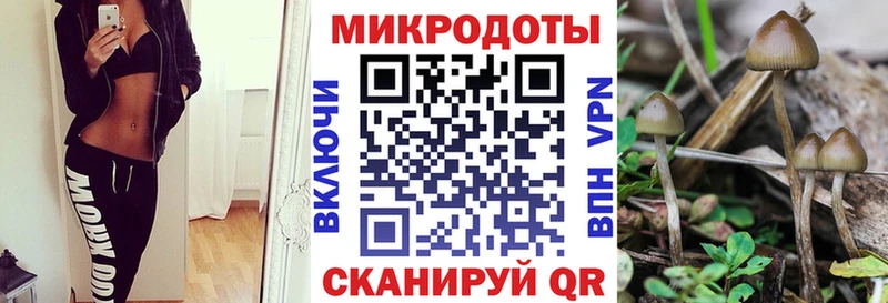 маркетплейс какой сайт  что такое наркотик  Полысаево  Псилоцибиновые грибы Psilocybe 