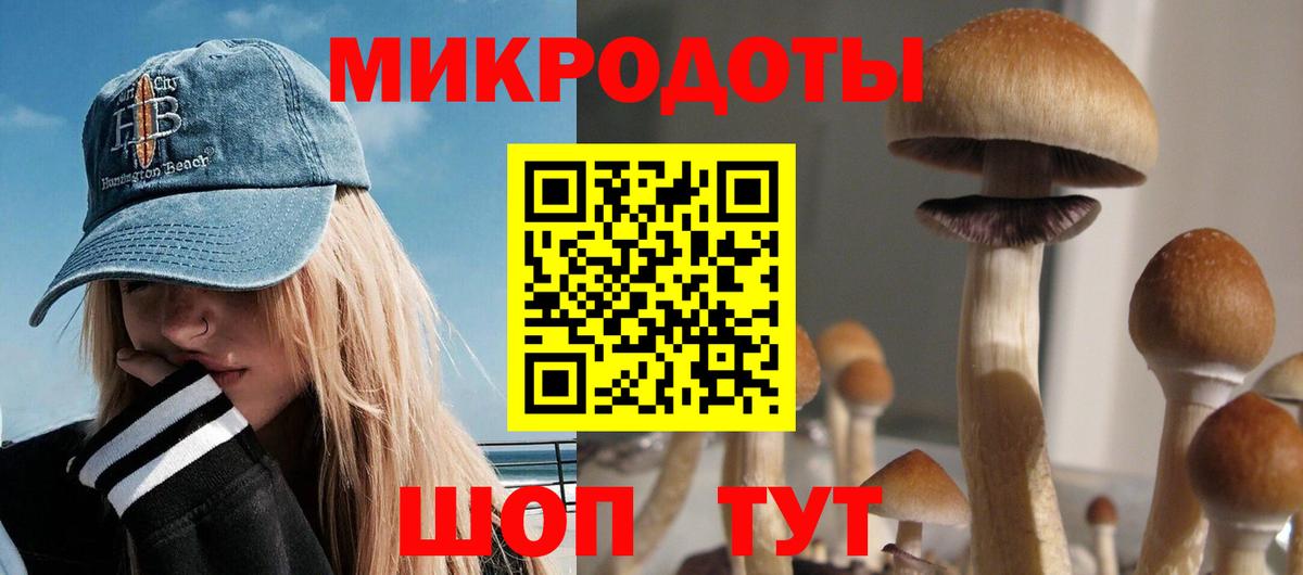 Псилоцибиновые грибы Psilocybe  Галлюциногенные грибы MAGIC MUSHROOMS  Полысаево  Вход с VPN 