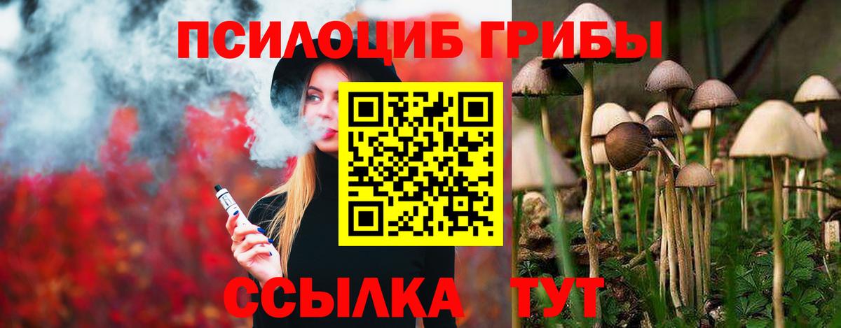 Галлюциногенные грибы Psilocybine cubensis Полысаево